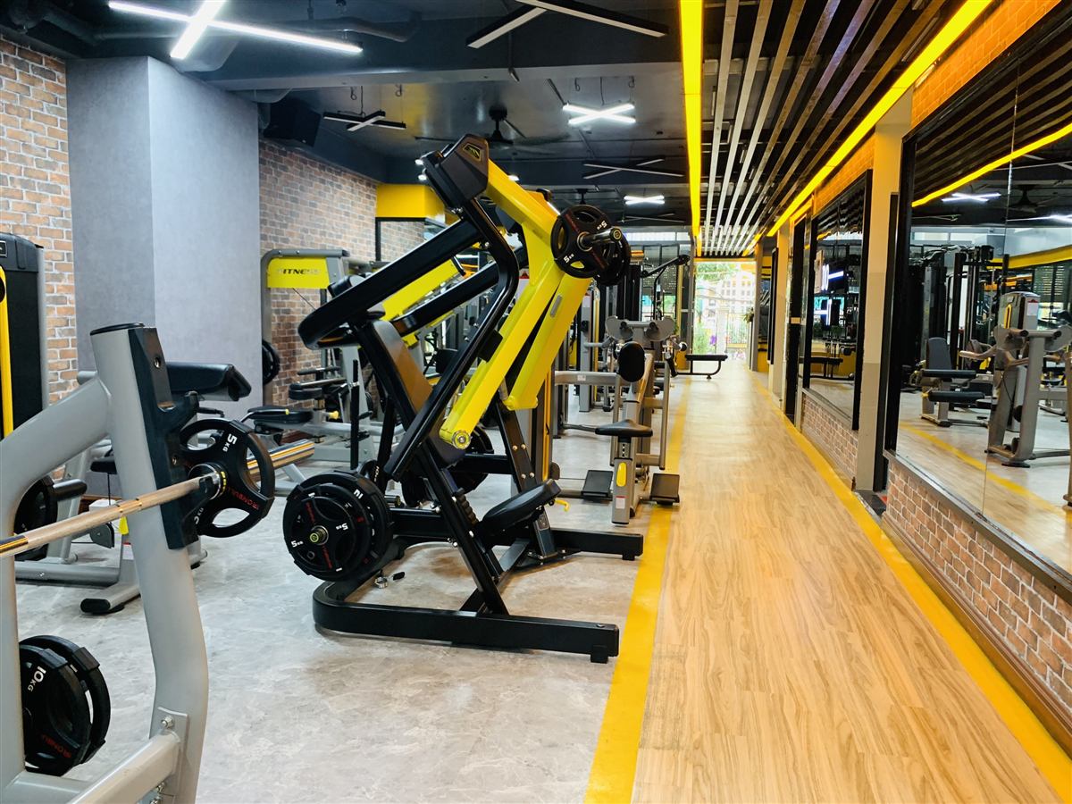 Máy tập lưng, vai
